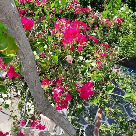 Sundeck Διαμέρισμα