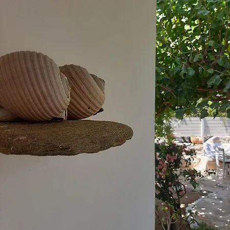 Sundeck * Δρυός