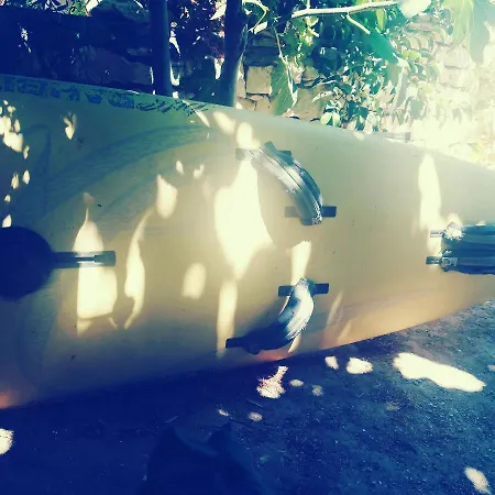 Sundeck * Δρυός