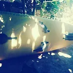Sundeck * Drios