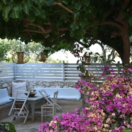 Sundeck Lejlighed