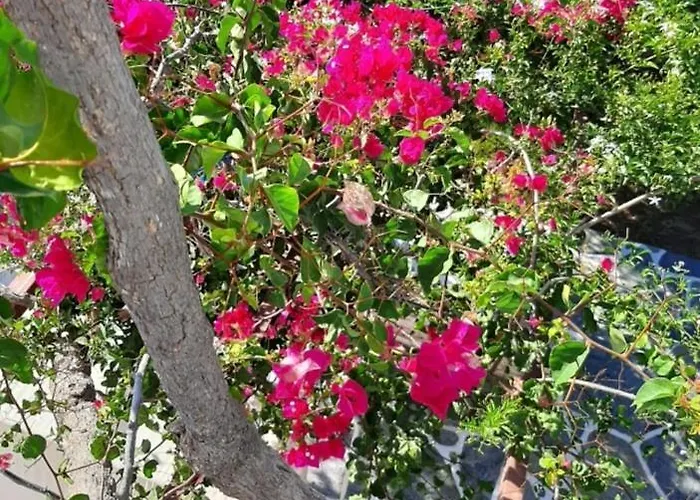 Sundeck Διαμέρισμα