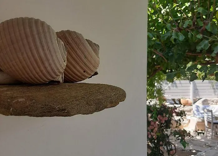 Sundeck * Δρυός